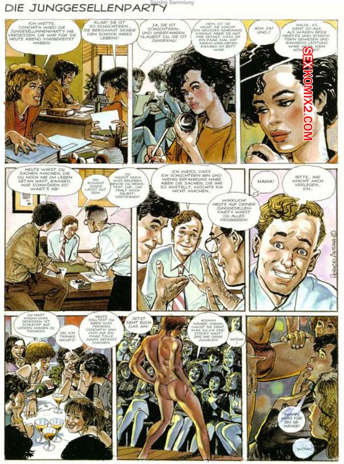 Porno comic Die Junggesellenparty