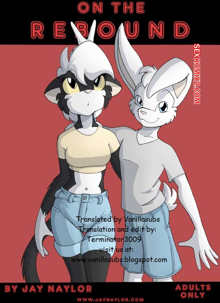 Porno comic Jay Naylor. On the Rebound