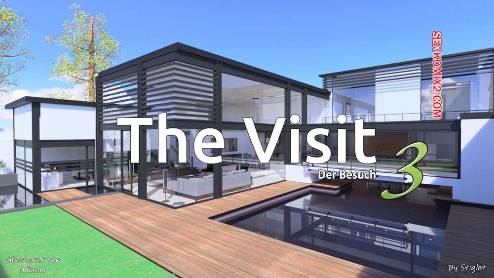 Porno comic The Visit. Kapitel 3. Stiglet
